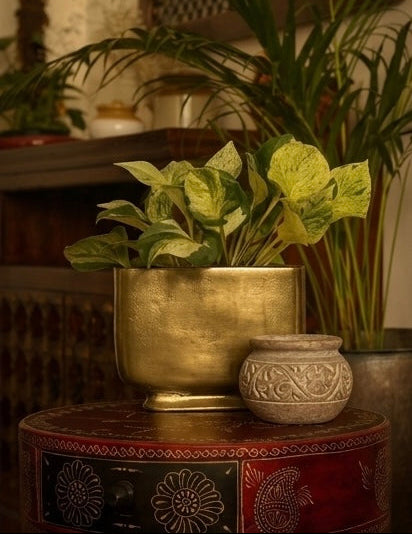 Elara Planter