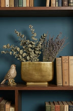Elara Planter